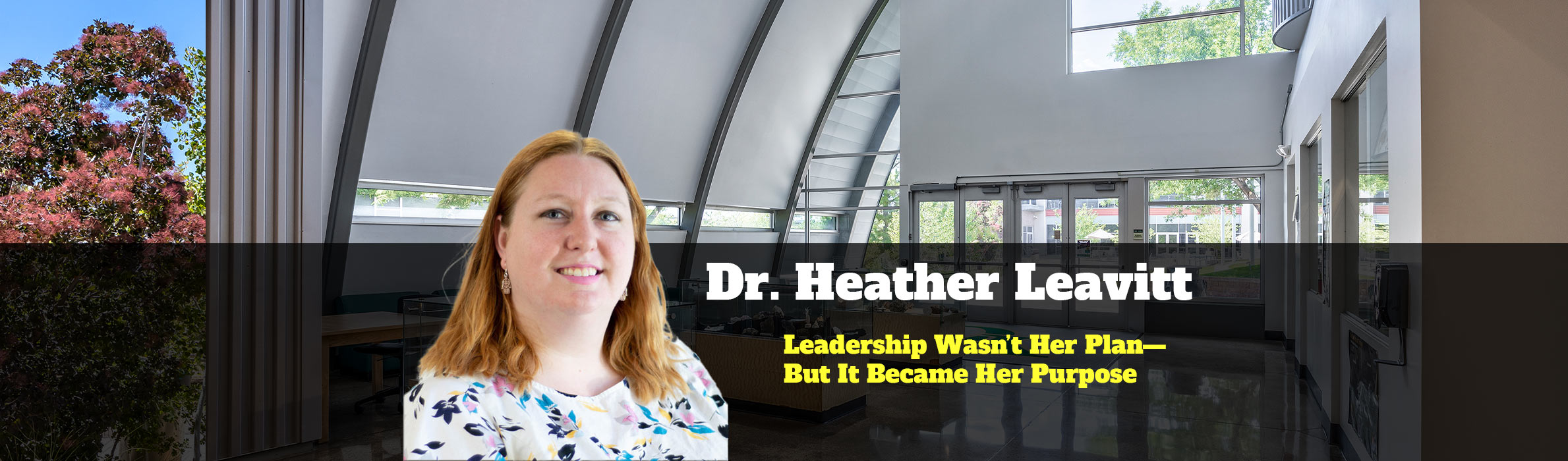 Heather Levitt