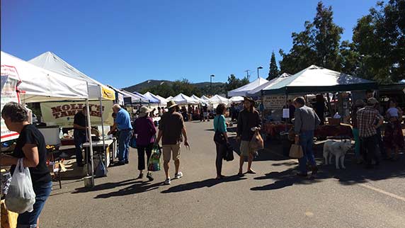 Prescott Campus rental facility photo 27